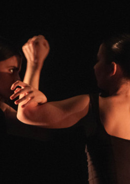 AULA DE TEATRO DA USC - IRMÁS